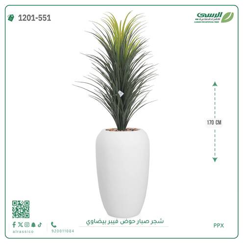 شجر صبار صناعية ( ارتفاع 170 سم ) حوض فيبر