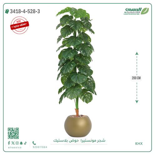 شجرة مونستيرا صناعية ( ارتفاع 200 سم ) حوض بلاستيك
