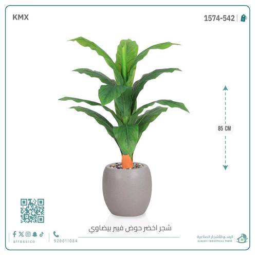 شجرة ورق موز حوض فيبر بيضوي