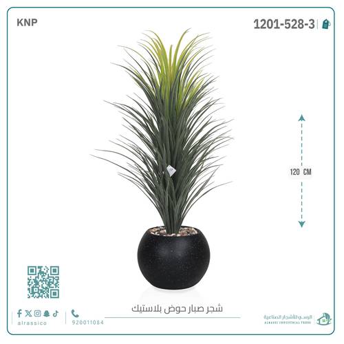 صبار اصطناعي كبير بمركن بلاستيك دائرى 