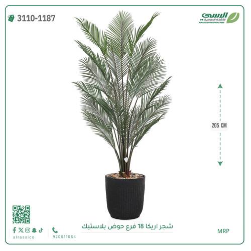 شجر اريكا صناعية ( ارتفاع 205 سم ) حوض بلاستك