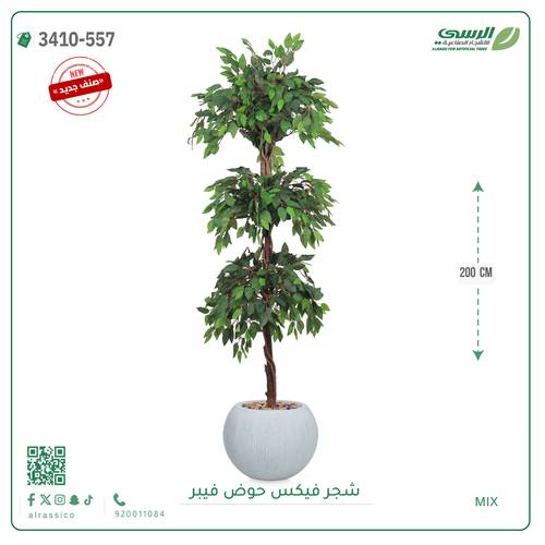 شجر فيكس صناعية ( ارتفاع 200 سم ) حوض فيبر