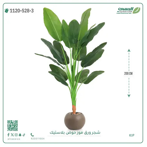 شجرة موز صناعية ( ارتفاع 200 سم ) حوض بلاستيك