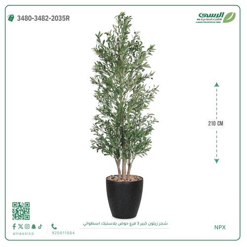 شجرة زيتون صناعية ( ارتفاع 210 سم ) حوض بلاستيك اسطواني