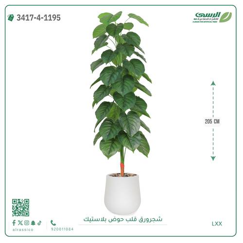شجر ورق قلب صناعية ( ارتفاع 205 سم ) حوض بلاستيك