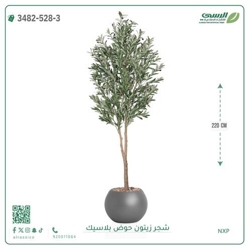 شجرة زيتون صناعية ( ارتفاع 220 سم ) حوض بلاستك