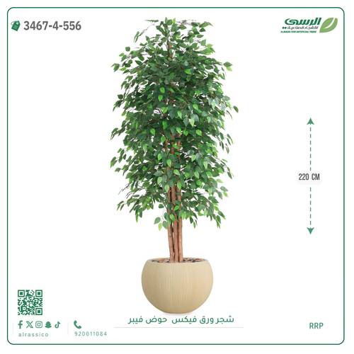 شجرة فيكس اصطناعية ( ارتفاع 220 سم ) حوض فايبر