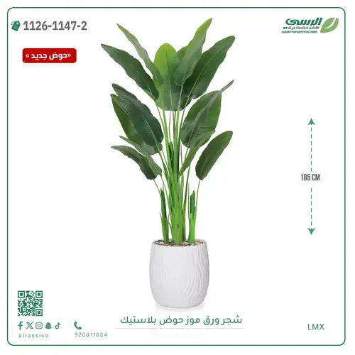 شجرة موز صناعية ( ارتفاع 185 سم ) حوض بلاستيك