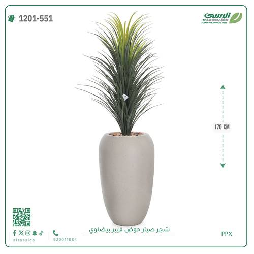 شجر صبار صناعية ( ارتفاع 170 سم ) حوض فيبر