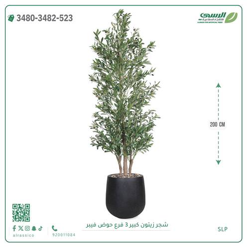 شجرة زيتون صناعية ( ارتفاع 200 سم ) حوض فيبر