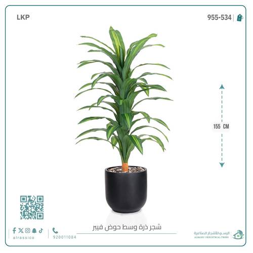  شجرة نبات الذرة (دراسينا) الاصطناعية كبيرة بمركن فيبر  أسطواني 