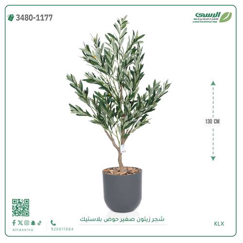 شجرة زيتون اصطناعية ( ارتفاع 130 سم ) حوض بلاستيك