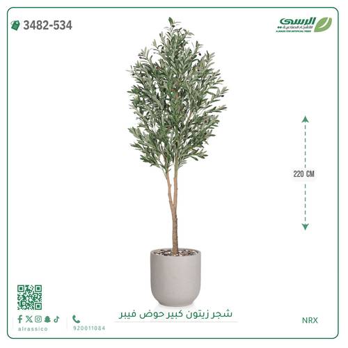 شجرة زيتون صناعية ( ارتفاع 220 سم ) حوض فيبر