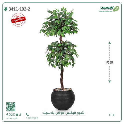 شجر فيكس صناعية ( ارتفاع 170 سم ) حوض بلاستك