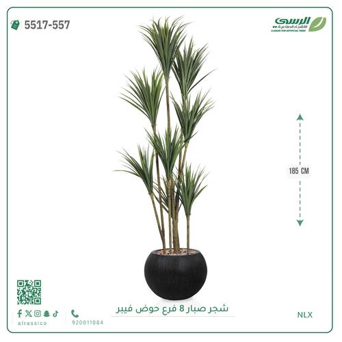 شجرة صبار صناعية ( ارتفاع 185 سم ) حوض فيبر مقلم