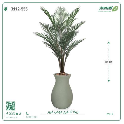 شجر أريكا صناعية ( ارتفاع 175 سم ) حوض فيبر