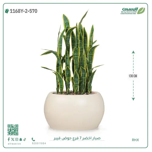 صبار صناعية ( ارتفاع 130 سم ) حوض فيبر