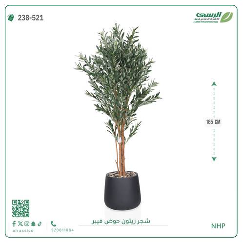شجرة زيتون صناعية ( ارتفاع 165 سم ) حوض فيبر