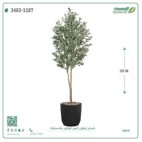 شجرة زيتون صناعية ( ارتفاع 220 سم ) حوض بلاستك