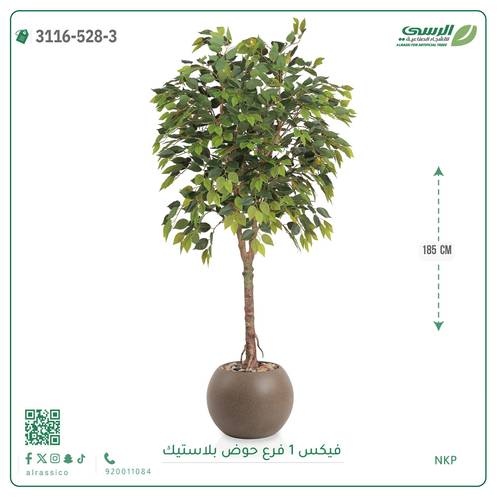 شجرة فيكس صناعية ( ارتفاع 185 سم ) حوض بلاستيك