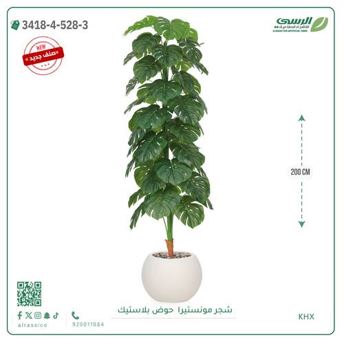 شجرة مونستيرا صناعية ( ارتفاع 200 سم ) حوض بلاستيك