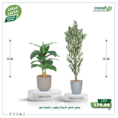 عرض شجرة زيتون صناعية ( ارتفاع 175 سم ) + شجرة ورق موز صناعية ( ارتفاع 75 سم ) حوض بلاستيك