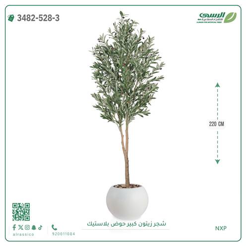 شجرة زيتون صناعية ( ارتفاع 220 سم ) حوض بلاستك
