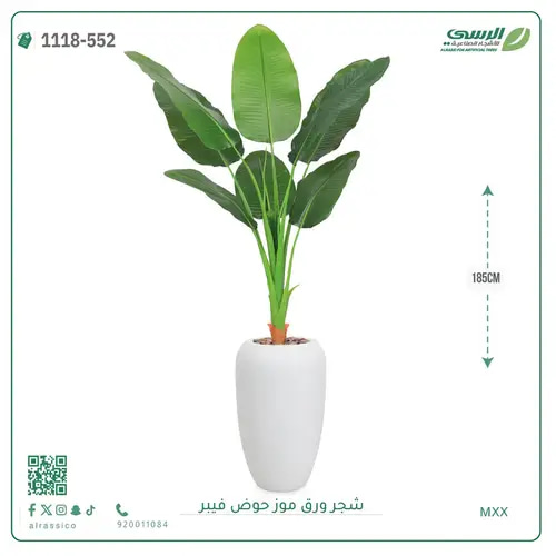 شجرة موز صناعية ( ارتفاع 185 سم ) حوض فيبر