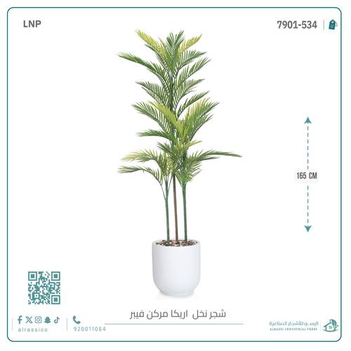 نخل أريكا اصطناعية (3 فرع) بمركن فيبر  أسطواني