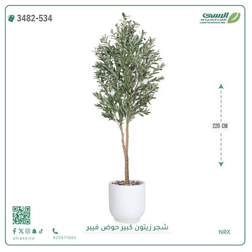 شجرة زيتون صناعية ( ارتفاع 220 سم ) حوض فيبر