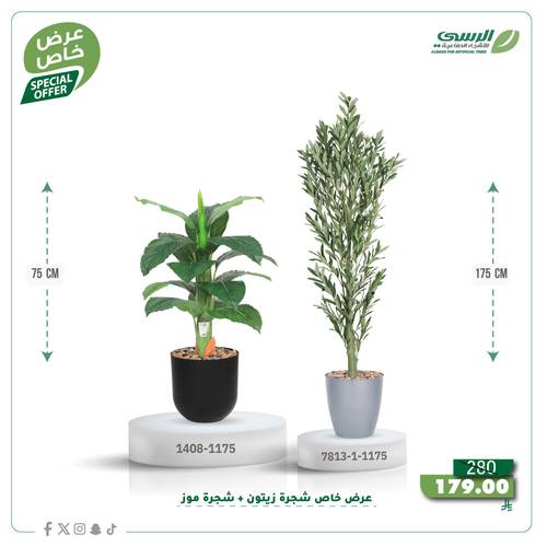 عرض شجرة زيتون صناعية ( ارتفاع 175 سم ) + شجرة ورق موز صناعية ( ارتفاع 75 سم ) حوض بلاستيك