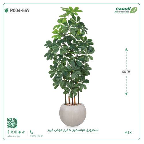 شجرة ورق ياسمين صناعية ( ارتفاع 175 سم ) حوض فيبر مقلم