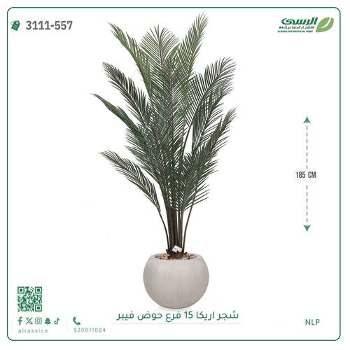 شجرة أريكا صناعية ( ارتفاع 185 سم ) حوض فيبر