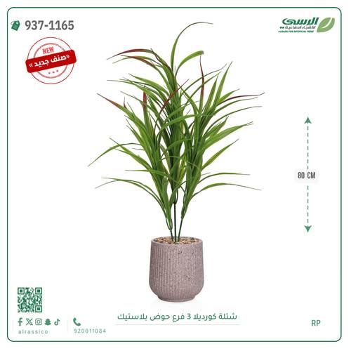 شجر كورديلا صناعية ( ارتفاع 80 سم ) حوض بلاستك
