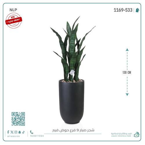صبار جلد النمر الأخضر بحوض فيبر
