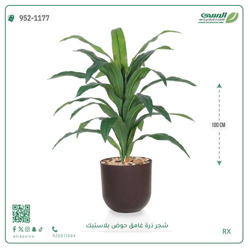  شجرة ذرة غامق بمركن بلاستيك أسطواني