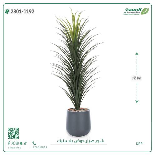 شجر صبار صناعي ( ارتفاع 155 سم ) حوض بلاستيك