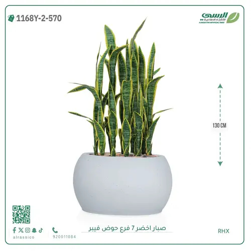 صبار صناعية ( ارتفاع 130 سم ) حوض فيبر