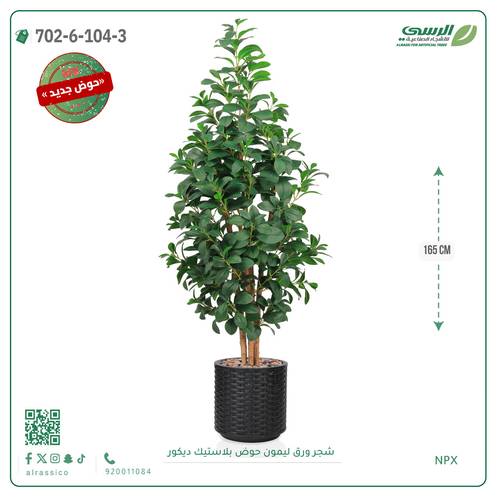 شجرة ورق ليمون صناعية ( ارتفاع 165 سم ) حوض بلاستك