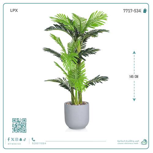 نخل أريكا صغير (3 فروع) بمركن فيبر  أسطواني