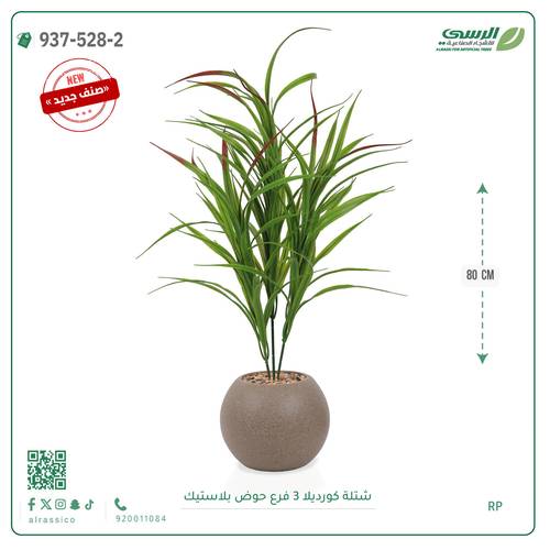 شجر كورديلا صناعية ( ارتفاع 80 سم ) حوض بلاستك