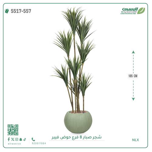شجرة صبار صناعية ( ارتفاع 185 سم ) حوض فيبر مقلم