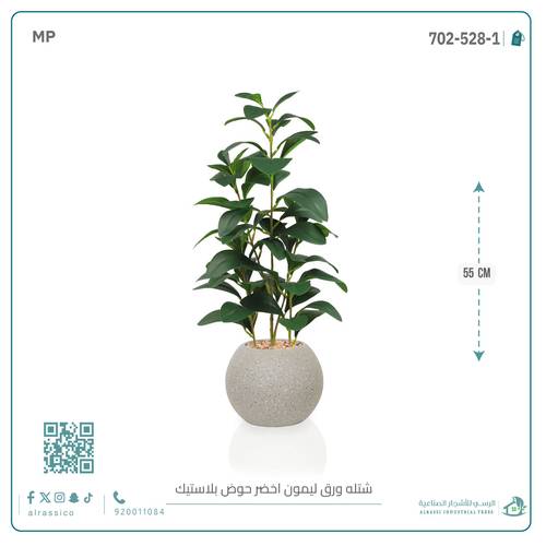  شتلة ورق ليمون اصطناعية بمركن بلاستيك دائري