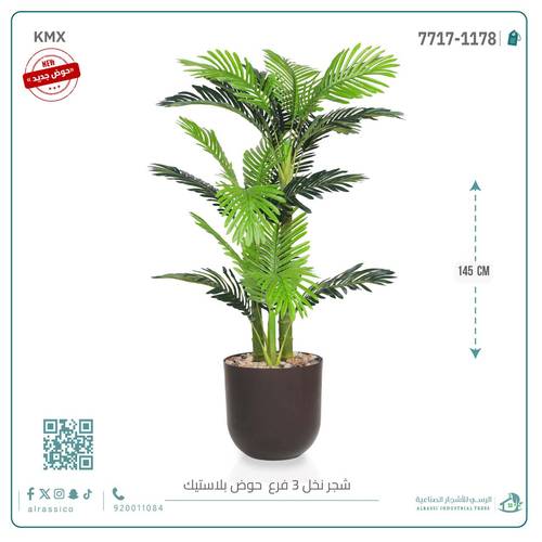 نخل أريكا صغير (3 فروع) بمركن بلاستيك أسطواني