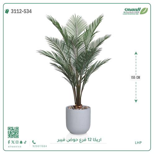 شجر أريكا صناعية ( ارتفاع 155 سم ) حوض فيبر