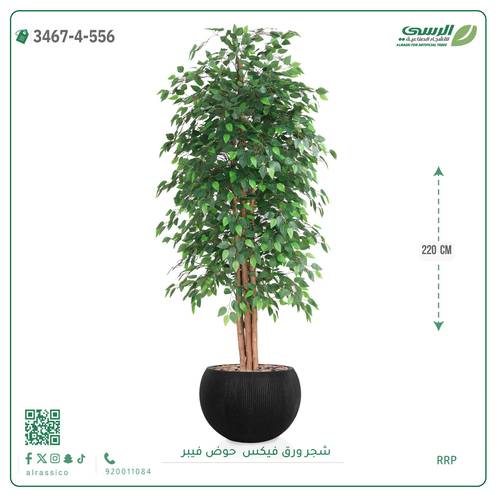 شجرة فيكس اصطناعية ( ارتفاع 220 سم ) حوض فايبر