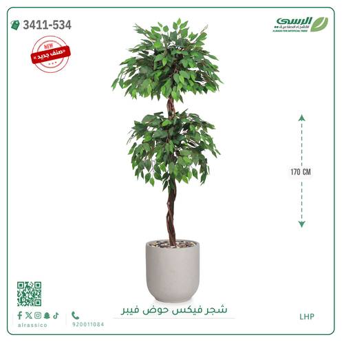 شجر فيكس صناعية ( ارتفاع 170 سم ) حوض فيبر