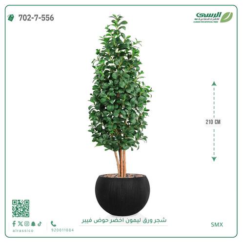 شجرة ليمون اصطناعية ( ارتفاع 210 سم ) حوض فايبر