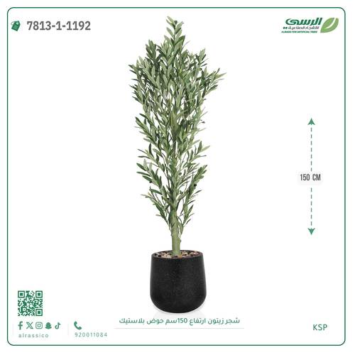 شجرة زيتون صناعية ( ارتفاع 150 سم ) حوض بلاستيك