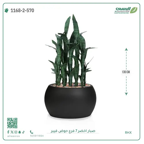 صبار صناعية ( ارتفاع 130 سم ) حوض فيبر